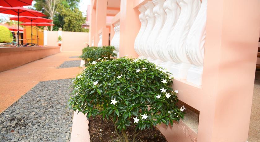 Conrada'S Place Hotel And Resort Đảo Đảo Panglao Ngoại thất bức ảnh
